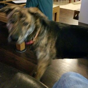 Meet your Posher, Christa